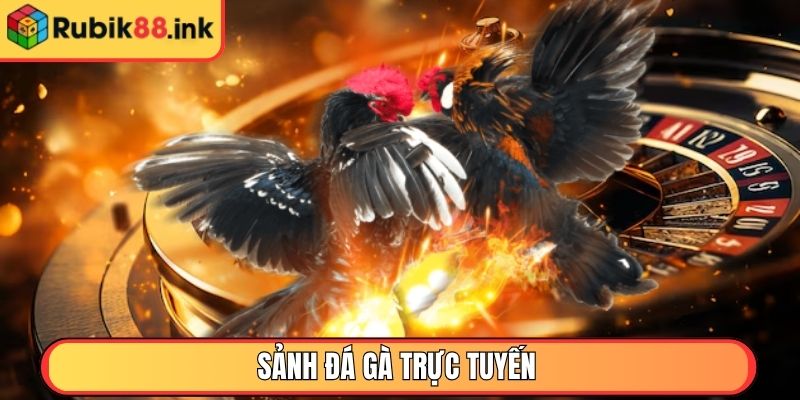 Sảnh Đá Gà trực tuyến